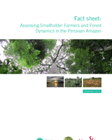 Fact sheet: assessing smallholder farmers and forest dynamics in the Peruvian Amazon