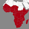 Icon: Map of the african continent