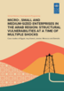 Micro, small and medium–sized enterprises in the Arab region: structural vulnerabilities at a time of multiple shocks