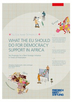 What the EU should do for democracy support in Africa: ten proposals for a new strategic initiative in times of polarisation