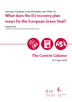 What does the EU recovery plan mean for the European Green Deal?