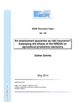 An employment guarantee as risk insurance? Assessing the effects of the NREGS on agricultural production decisions