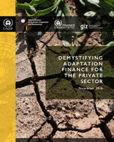 Demystifying adaptation finance for the private sector
