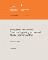 Micro, small and medium enterprise upgrading in low- and middle-income countries: a literature review