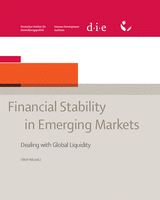 Introduction to "Financial stability in emerging markets"
