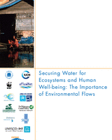 Securing water for ecosystems and human well-being: the importance of environmental flows