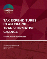 Does development matter for the use of tax expenditures?