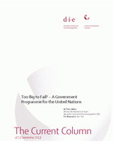 Too Big to Fail? – A Government Programme for the United Nations in International Development