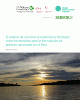 El análisis de servicios ecosistémicos forestales como herramienta para la formulación de políticas nacionales en el Perú