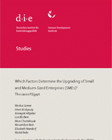 Which factors determine the upgrading of small and medium-sized enterprises (SMEs)? The case of Egypt