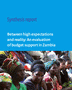 Between high expectations and reality: an evaluation of budget support in Zambia (2005-2010)
